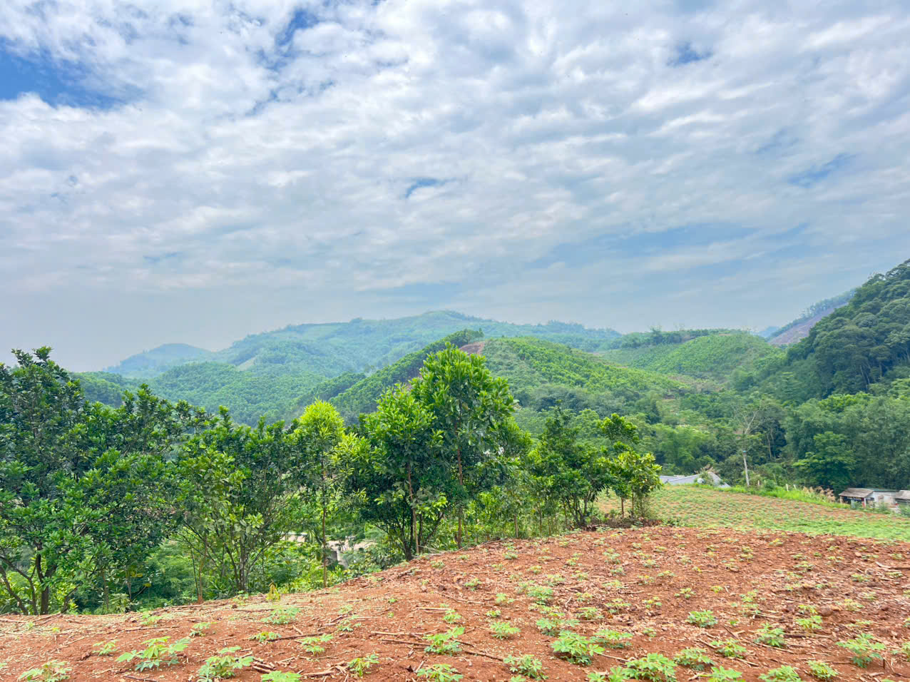 Bán 3330M_sẵn 400M thổ cư đất view thung lũng ruộng bậc thang siêu đẹp_Cao Phong Hoà Bình_1,x tỷ - Ảnh 1
